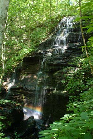 Promise at the Bottom