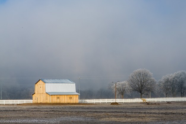 EarlyMorningFrost_3077