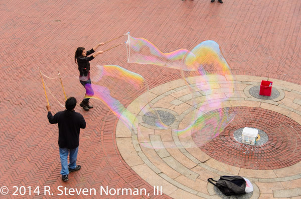 CentralPark2012-0588