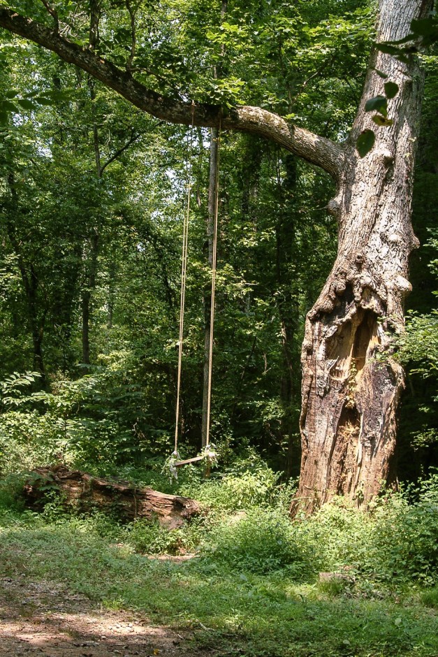 RoadsideSWing_KymulgaAL_0446