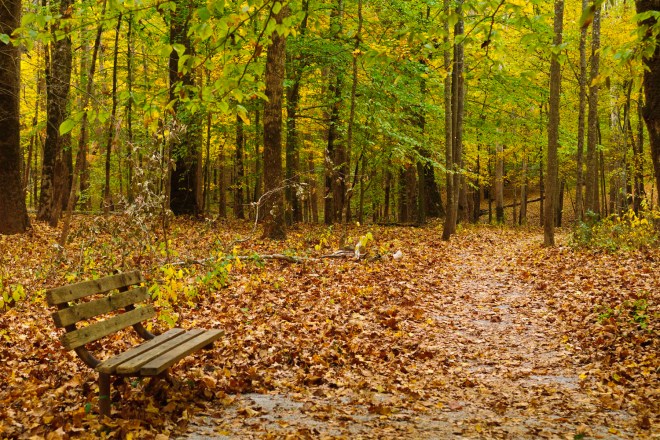 7054692595_309c3f11d3_o